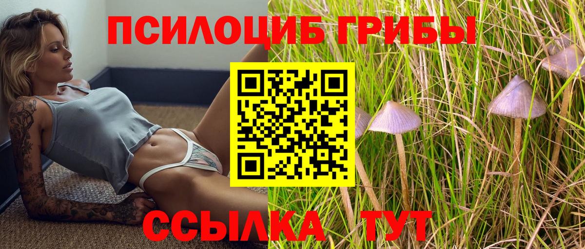 Галлюциногенные грибы Psilocybine cubensis Приморско-Ахтарск
